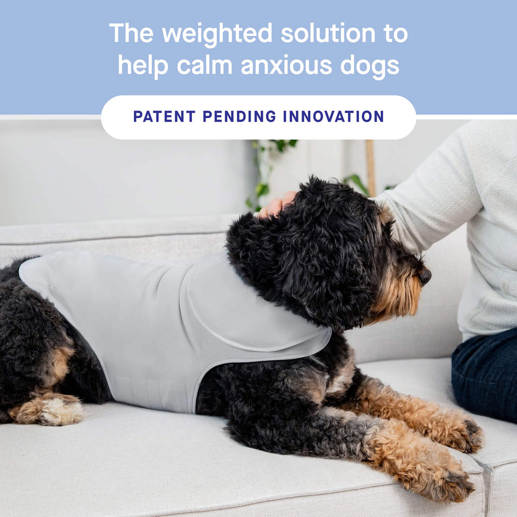 Weighted Calming Vest