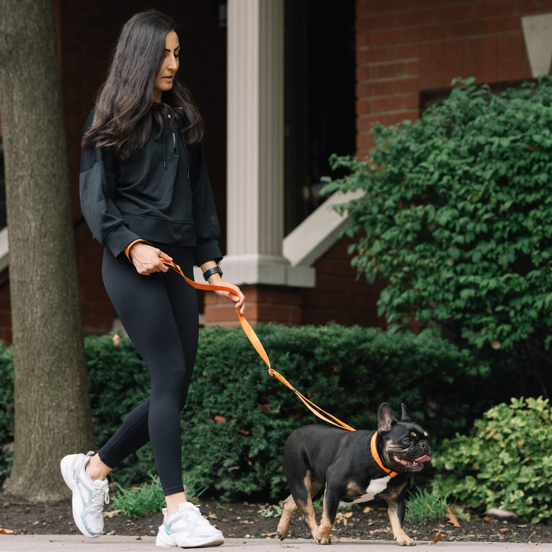 Utility Leash