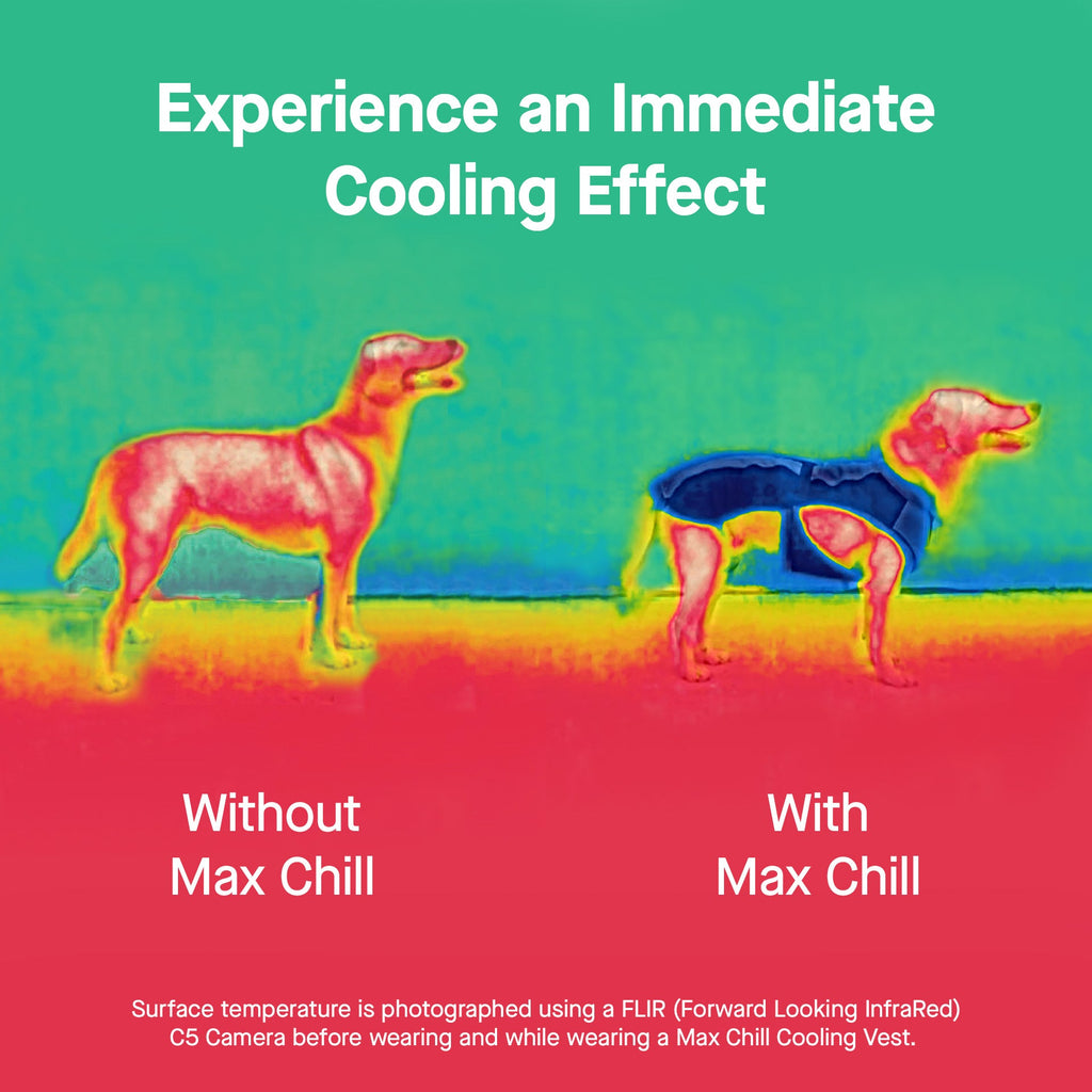 Max Chill Cooling Harness