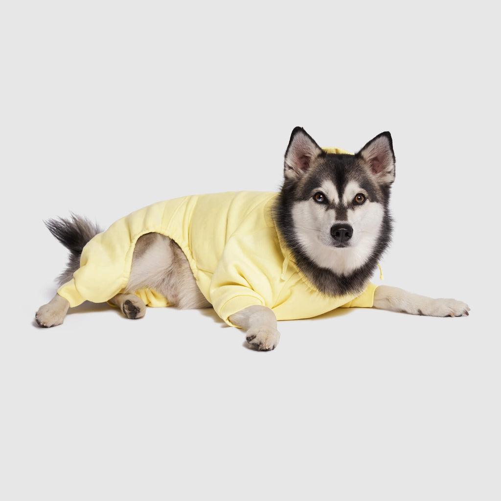 Soft Side Sweatsuit