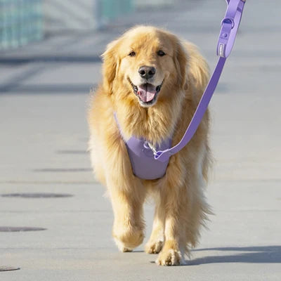 Harnesses
