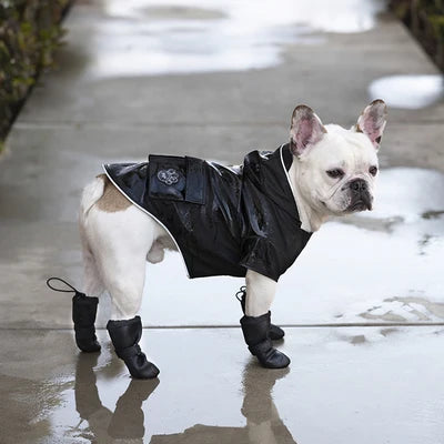 Ready for Rain